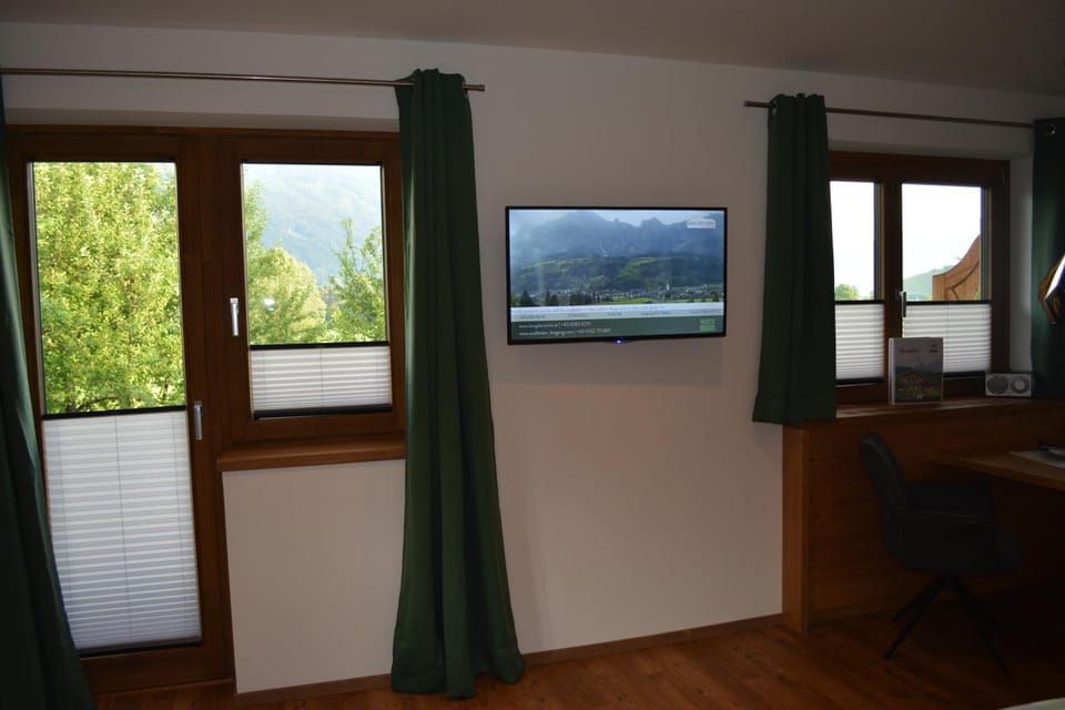 TV and multimedia, Mountain view