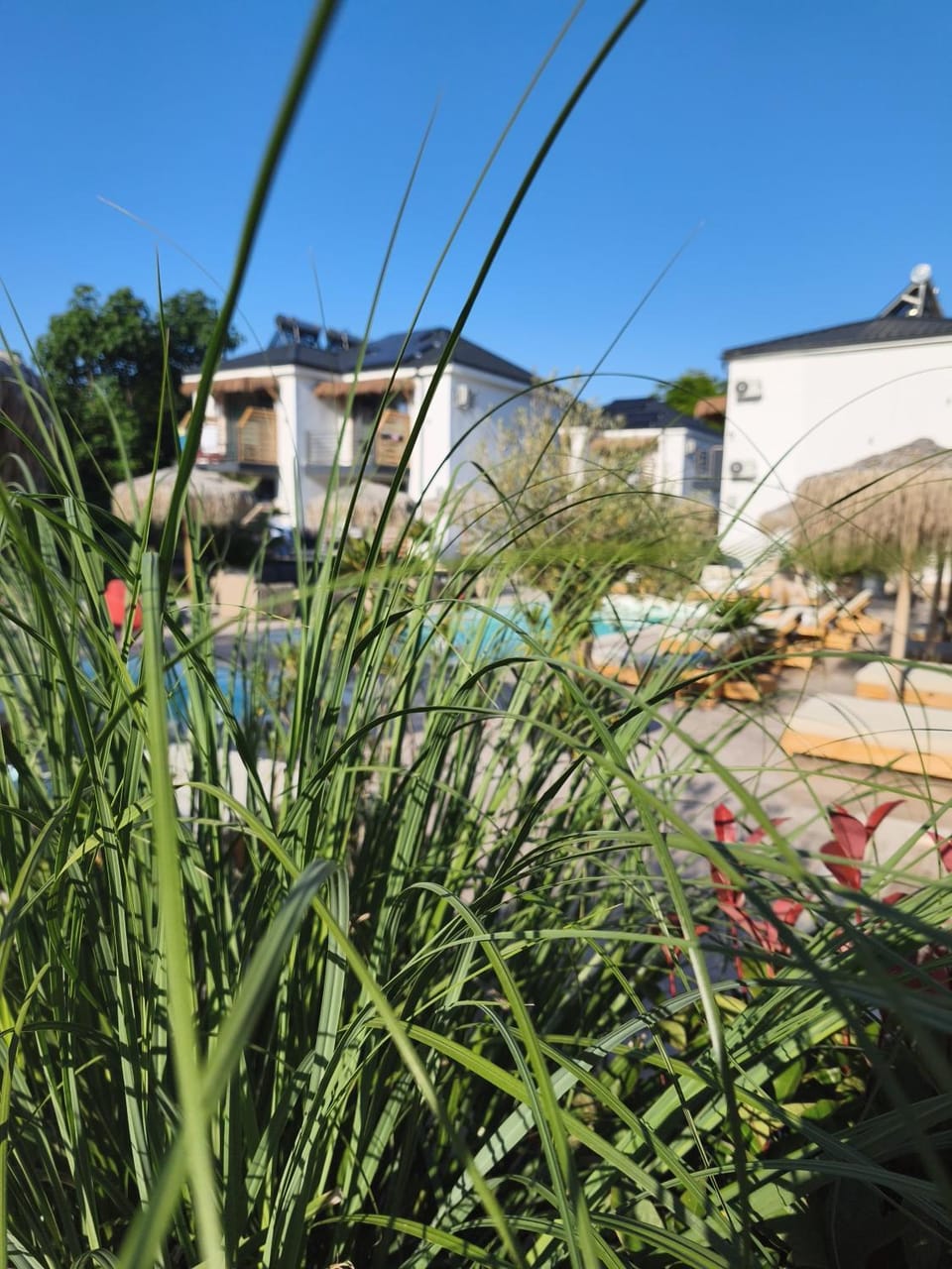 Complex Sea Star 2Mai Bed and Breakfast in Dobrich Province, Bulgaria