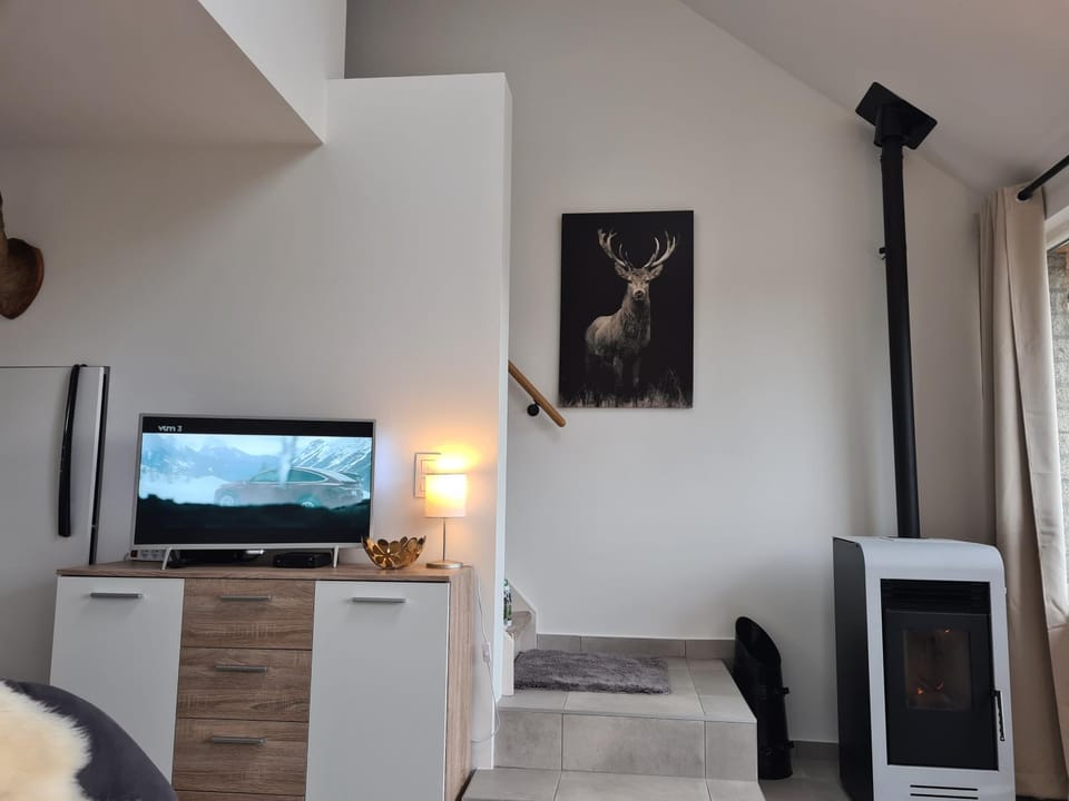 TV and multimedia, Living room