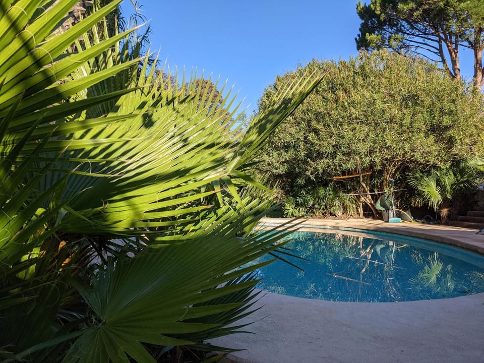 Pool view
