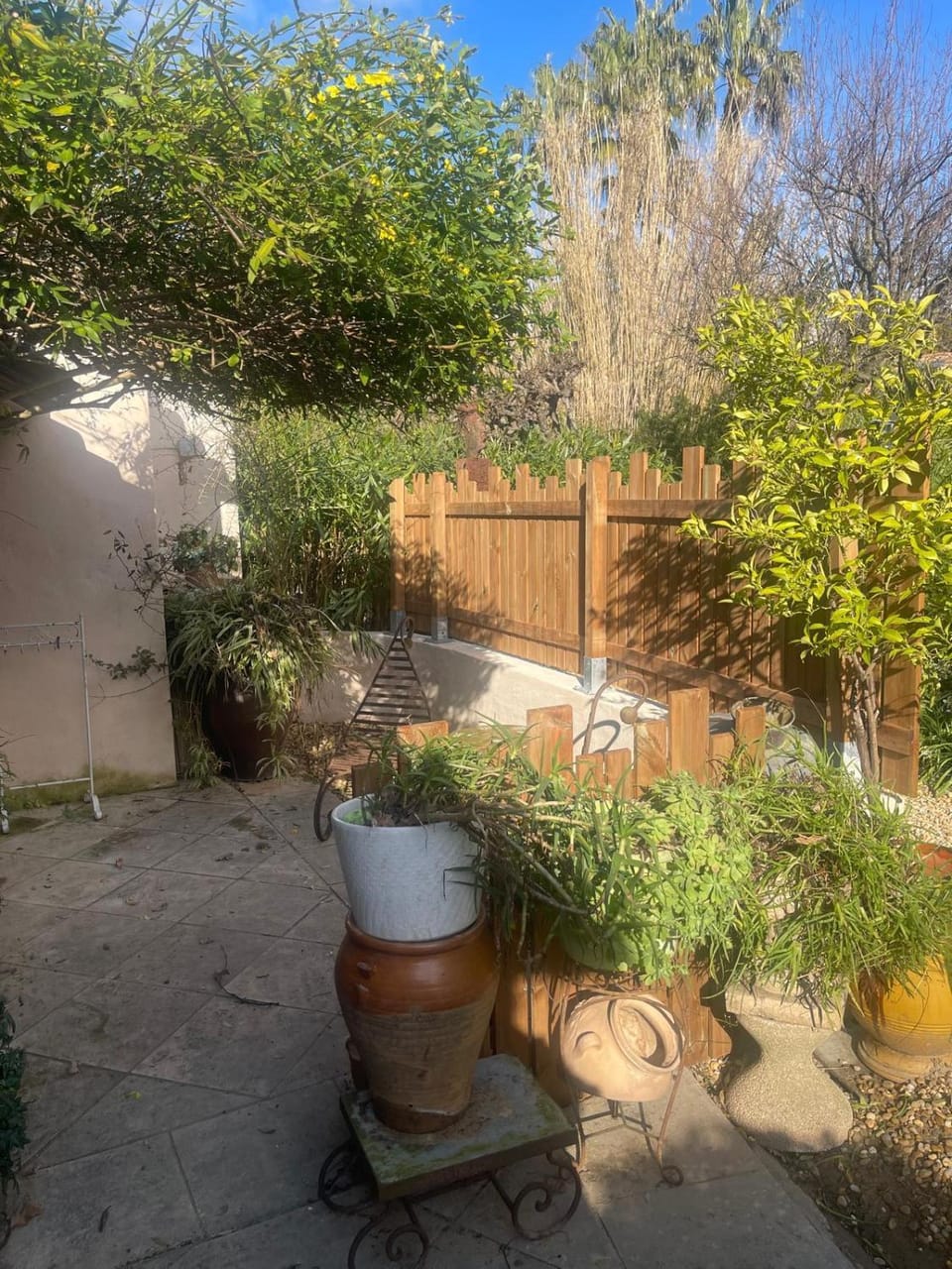 Patio, Spring