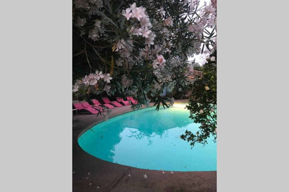 Activities, View (from property/room), Swimming pool, Swimming pool