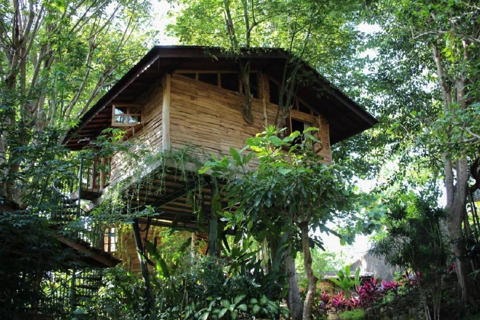 Property building, Natural landscape, Garden, Bathroom, Garden view, air conditioner