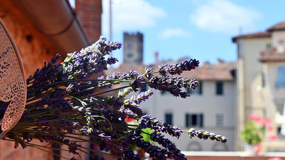 L'Iris B&B in Terrazza Bed and Breakfast in Capannori