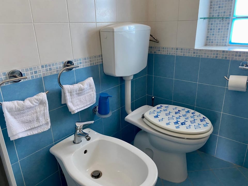 Bathroom, bidet, towels