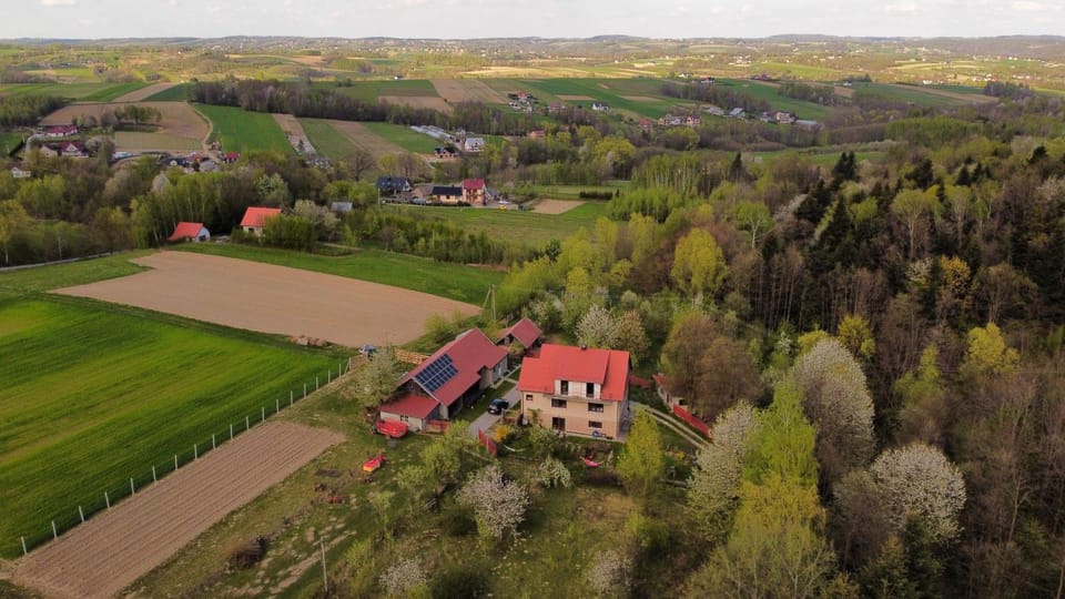 Neighbourhood, Bird's eye view