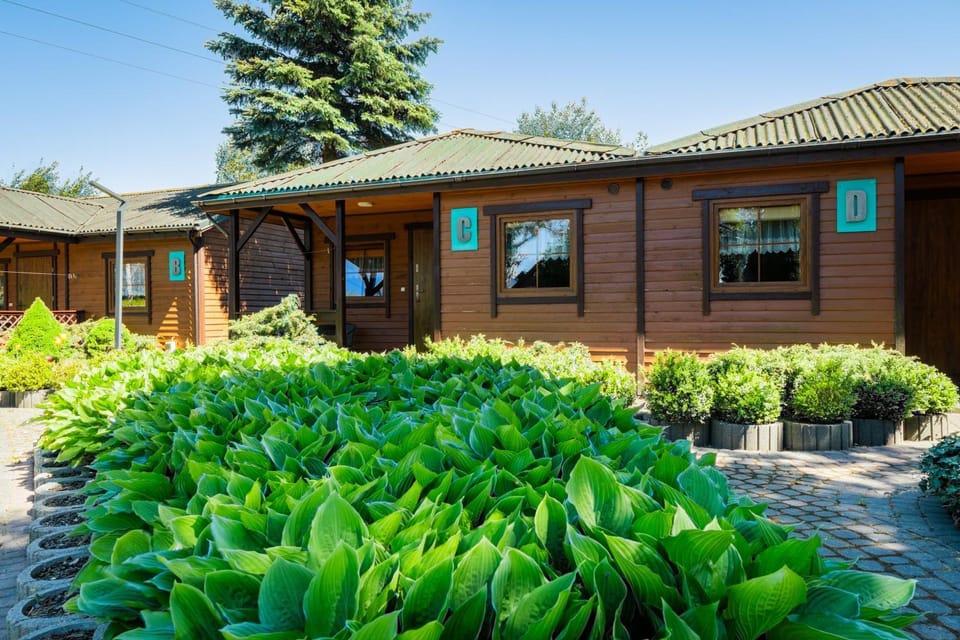 Property building, Spring, Garden view