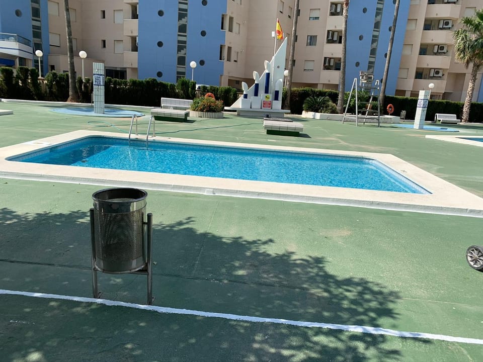 Swimming pool, Swimming pool