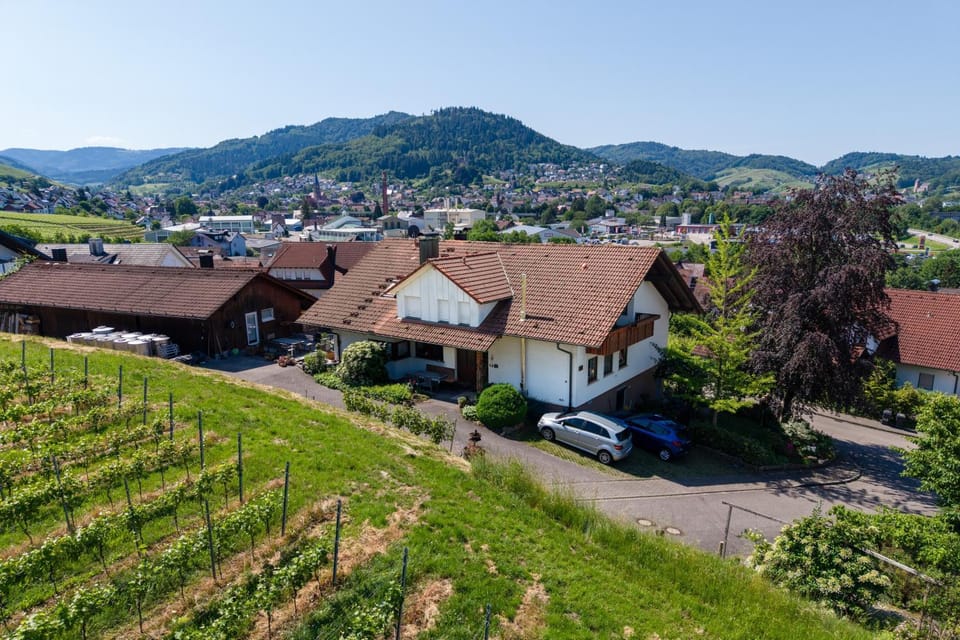 Hofquartier Apartment in Ortenau