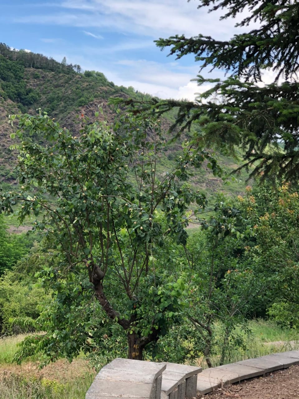 Neighbourhood, Natural landscape
