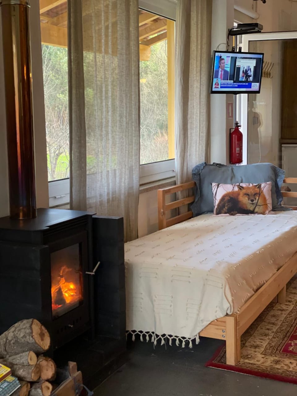 Bed, TV and multimedia, Photo of the whole room