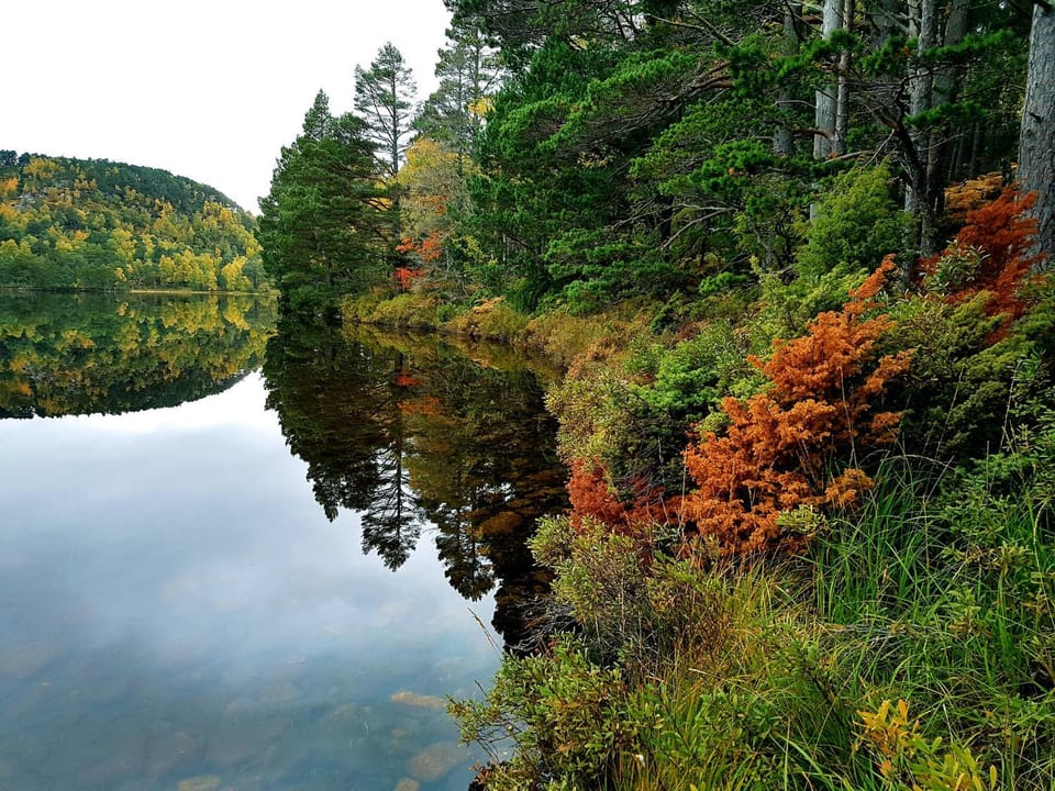 Natural landscape