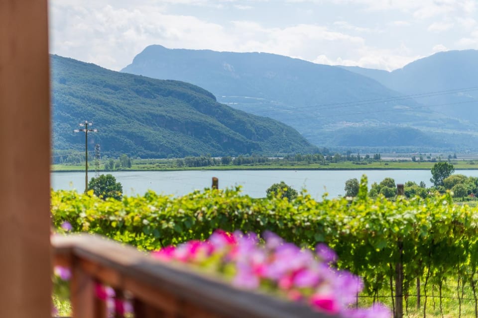 Natural landscape, Lake view