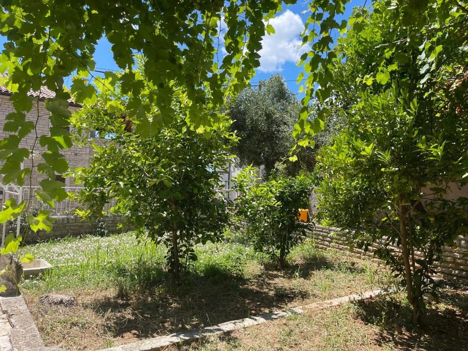 VILLA GIULIA House in Medulin