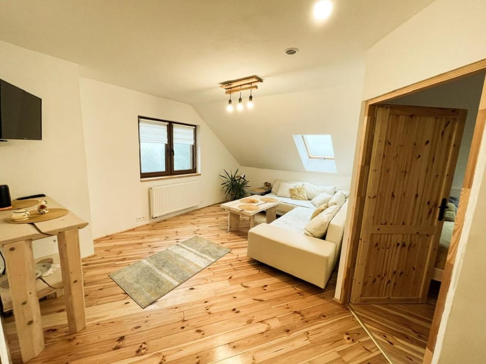 Living room, Photo of the whole room
