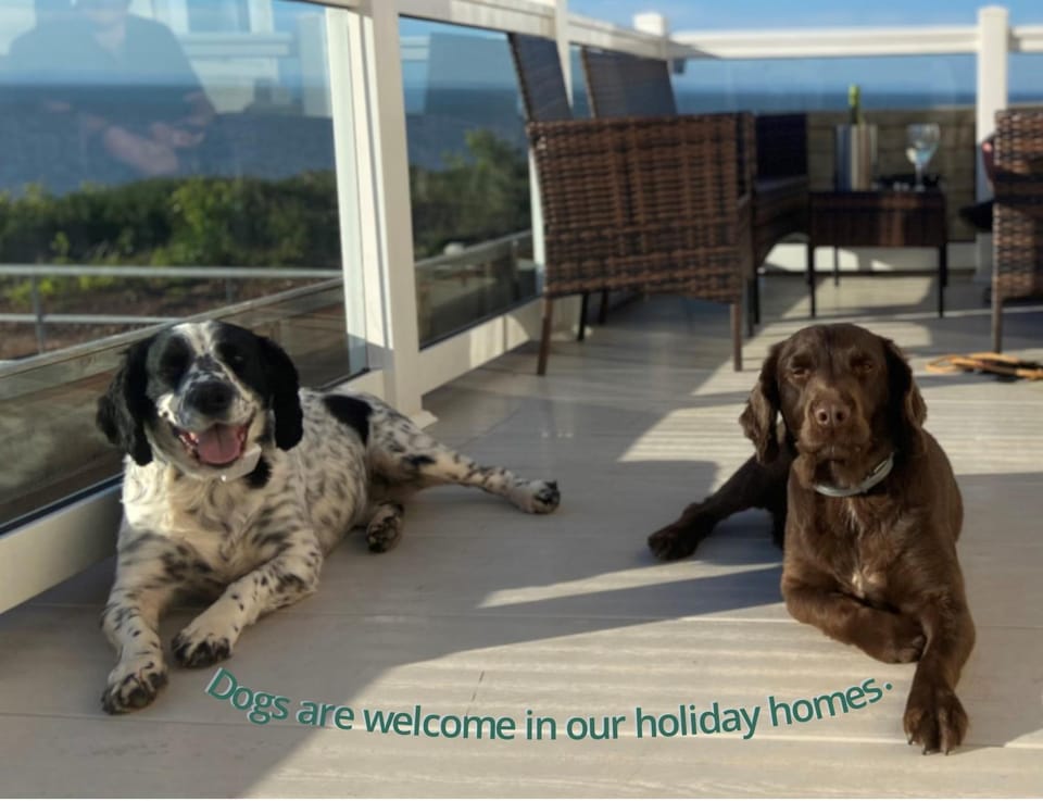Pets, Pets, pet friendly