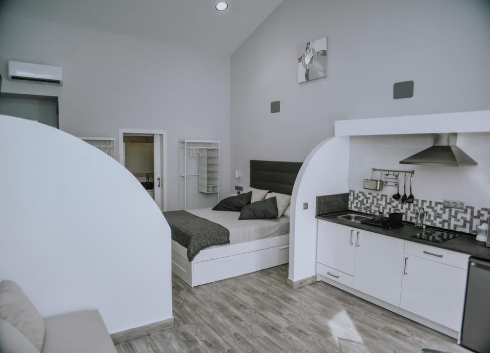 Bed, Kitchen or kitchenette, Living room, Photo of the whole room, Seating area, Bedroom, stove