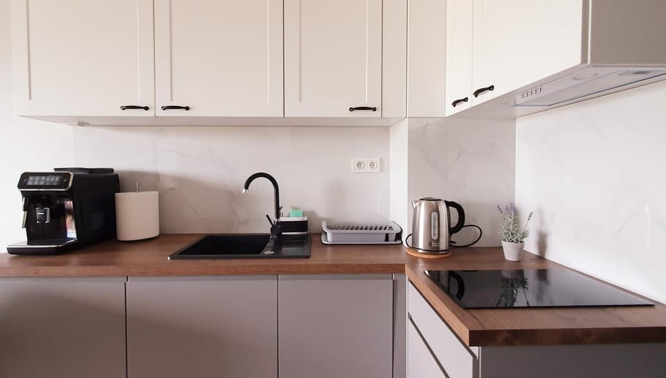 Kitchen or kitchenette, Photo of the whole room