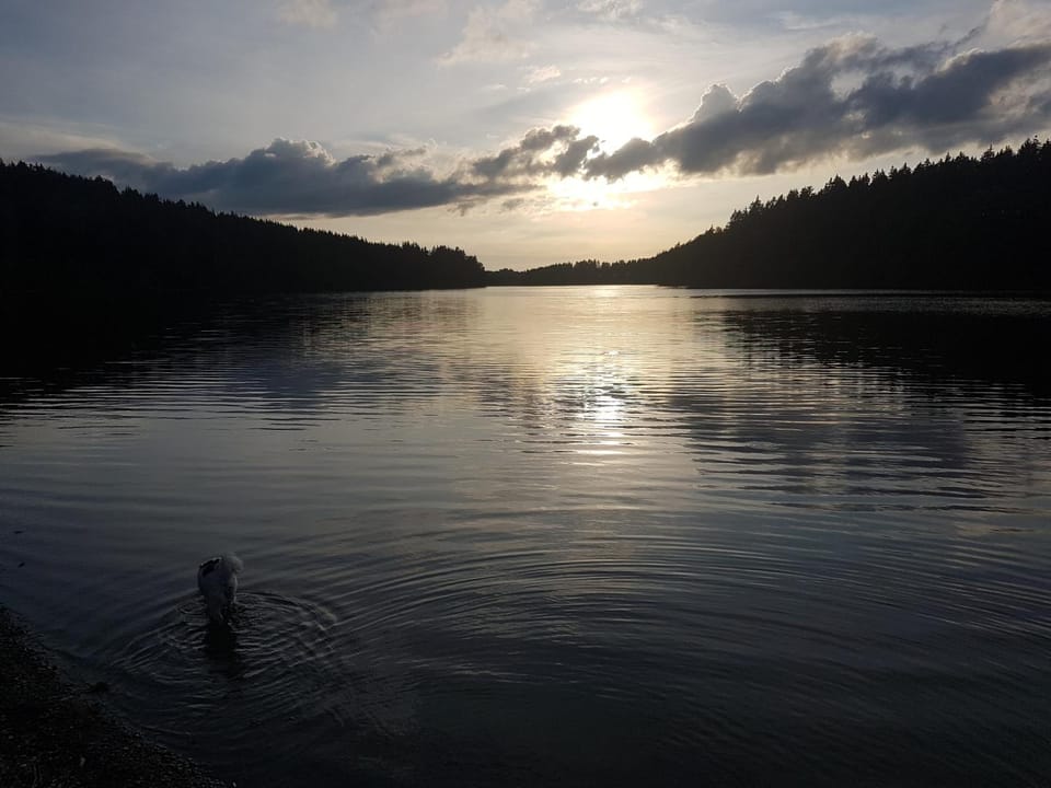 Lindenhaus Apartment in Wallonia, Belgium