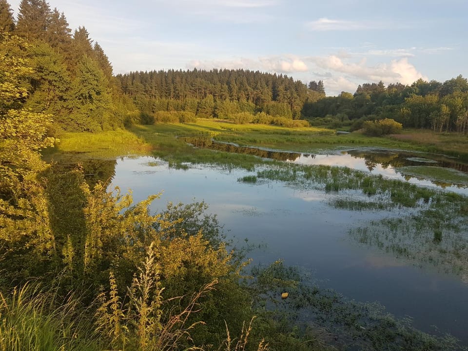 Lindenhaus Apartment in Wallonia, Belgium