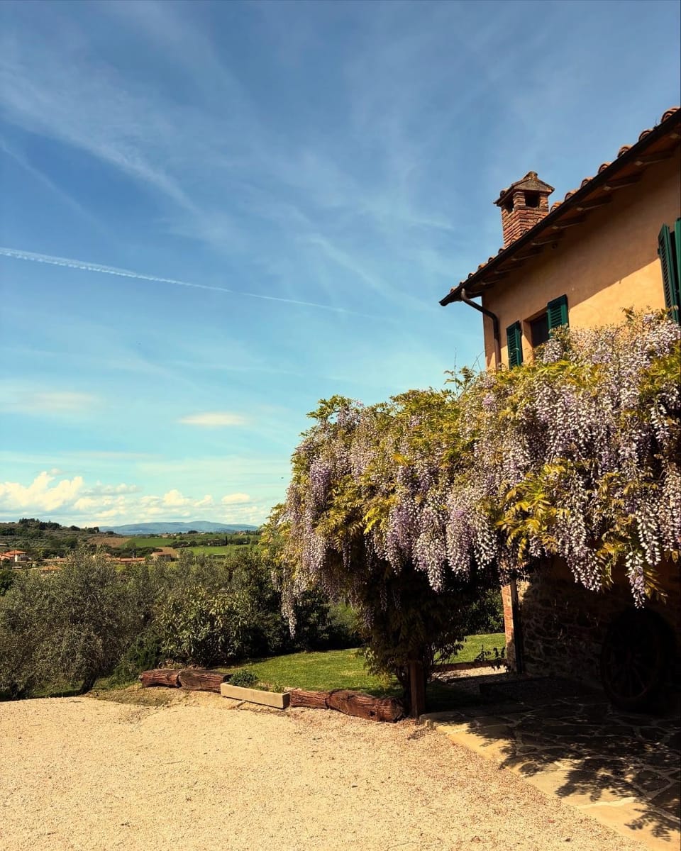 Property building, Spring, Day, Natural landscape, Garden, Garden view
