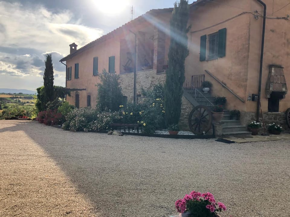 Property building, Garden