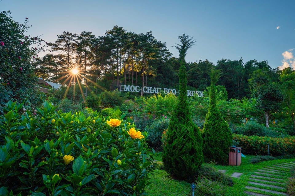 Garden, Sunrise