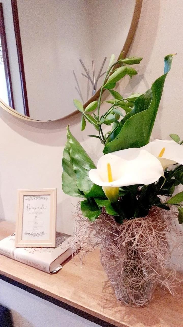 Lucus Dúplex Apartment in Lugo