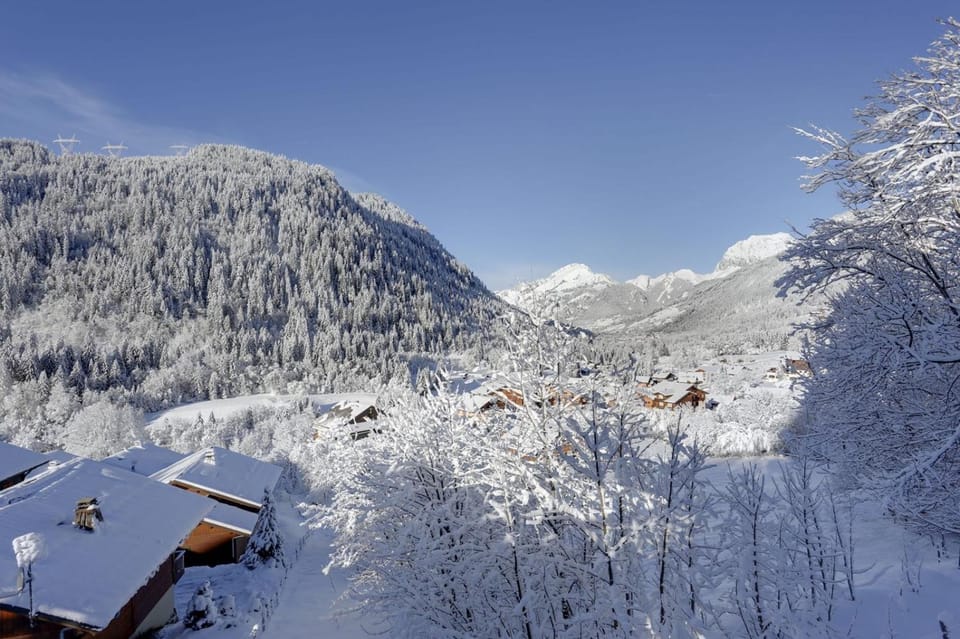 Les Loges Blanches - Apt C001 - Châtel - BO Immobilier - Reduced prices on ski passes Châtel & Portes du Soleil Apartment in Châtel