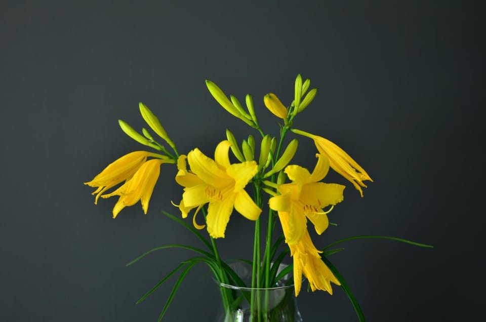 Casa Boller di TSS' - Ideale per Famiglie, Supermercato a 20m & Car Parking Apartment in Trentino-South Tyrol