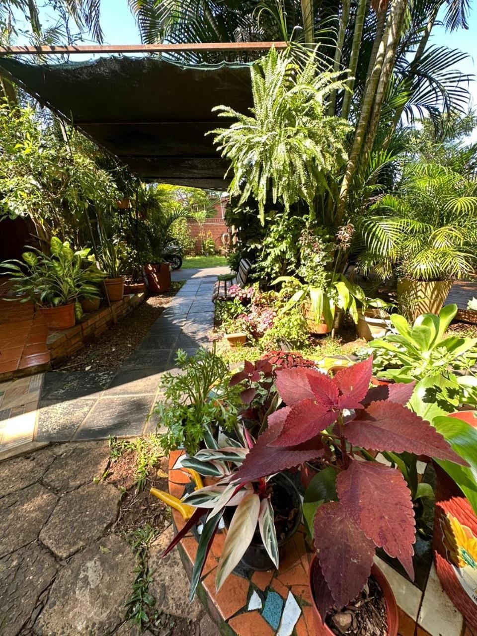 Posada Portal del Iguazu Inn in Puerto Iguazú