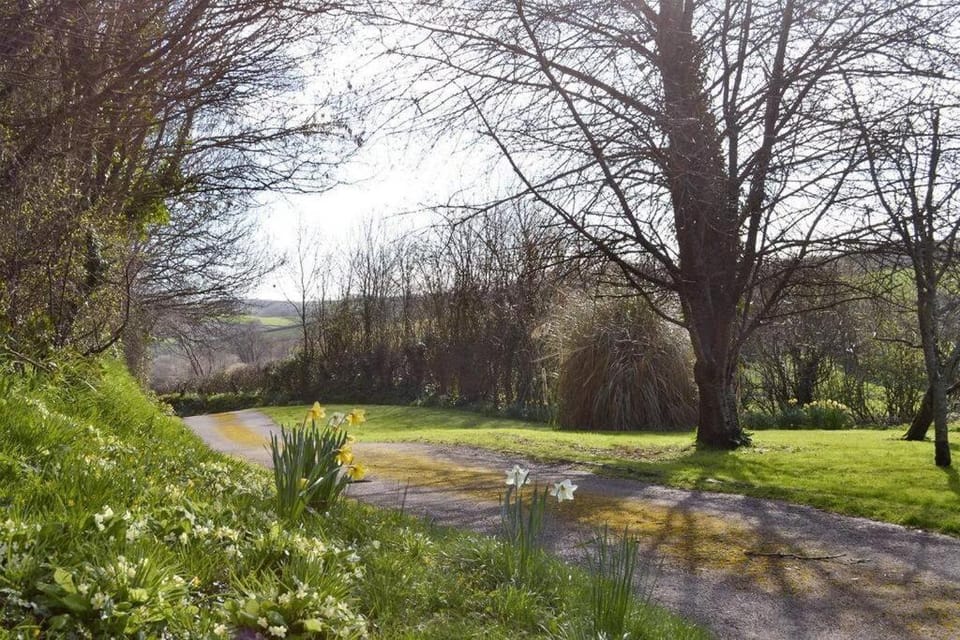 Natural landscape, Garden view