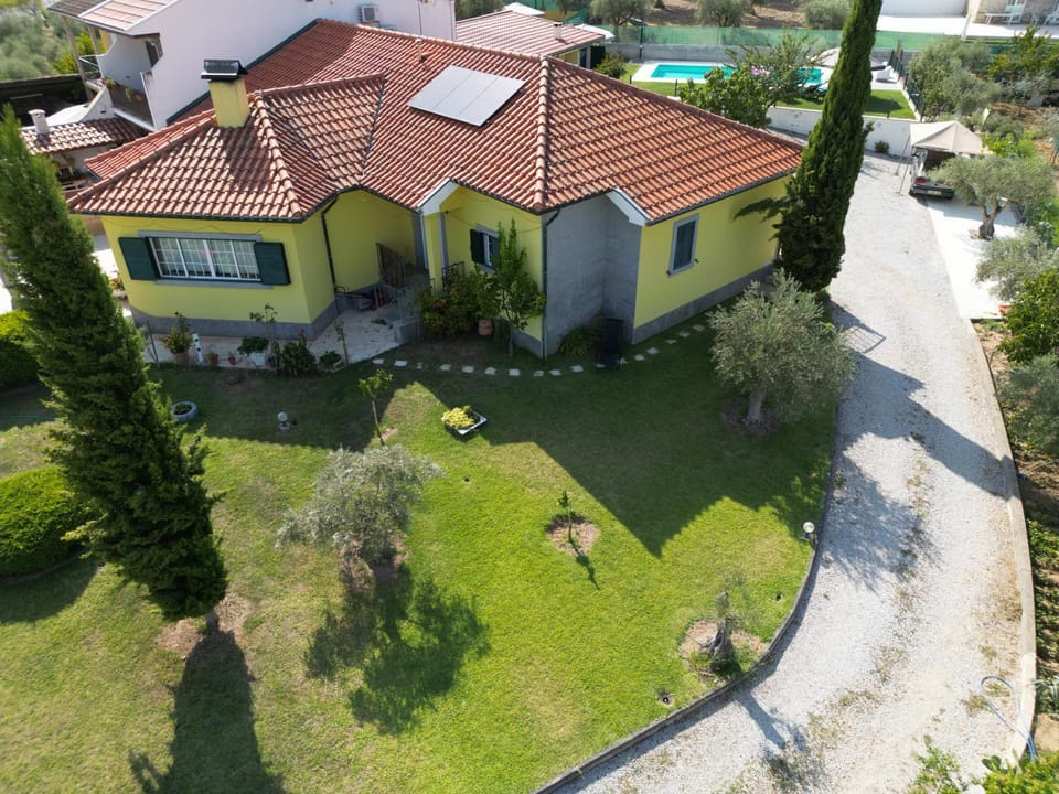 Bird's eye view, Garden, Garden view