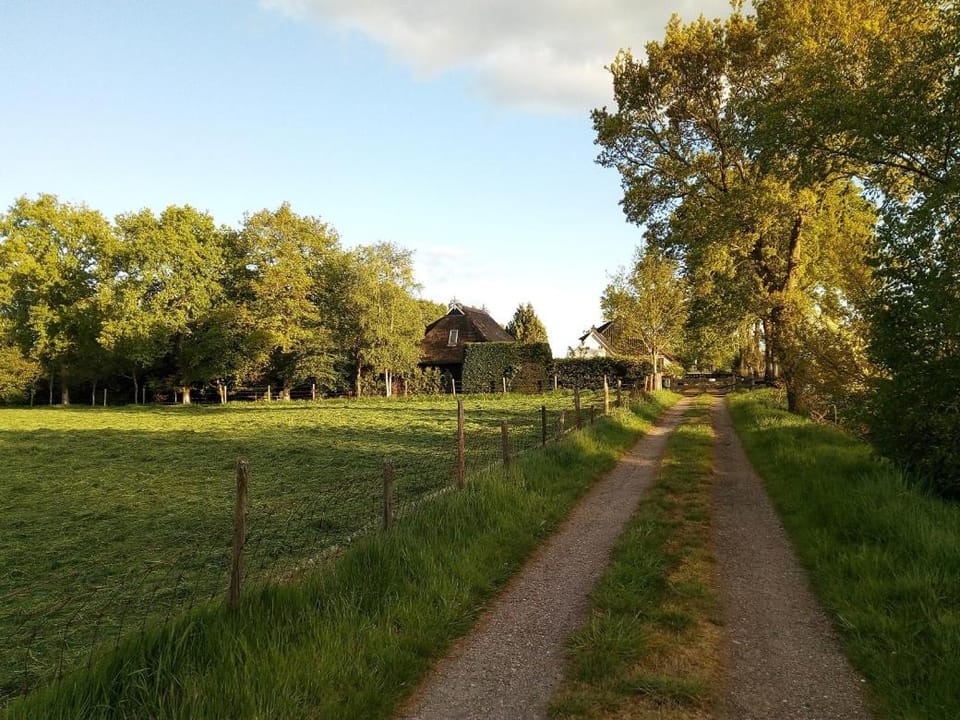 B&B De Flecht - De Ljip Bed and Breakfast in Friesland, Netherlands