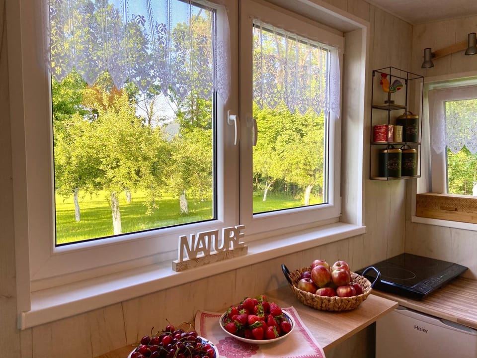 Kitchen or kitchenette, Decorative detail, Bedroom, Garden view