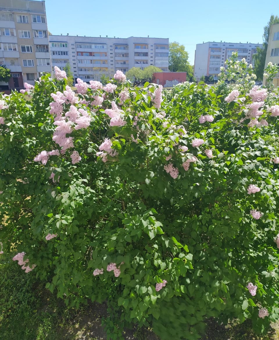 Neighbourhood
