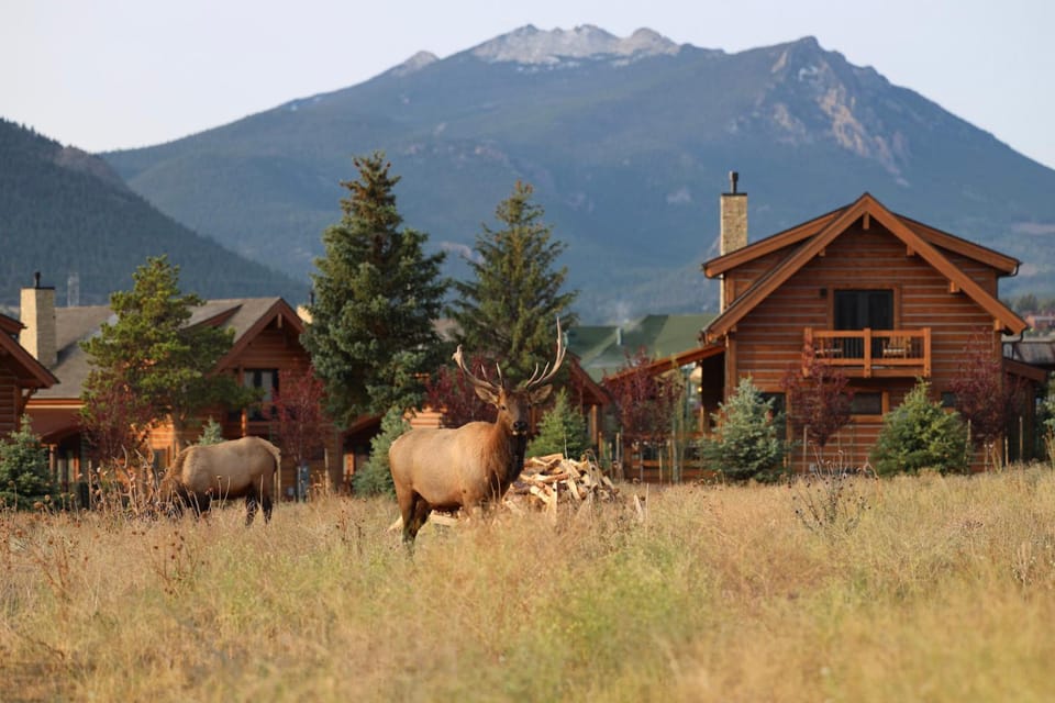 Estes Escape – Jacuzzi, Indoor/Outdoor Fireplace and BBQ Grill House in Estes Park