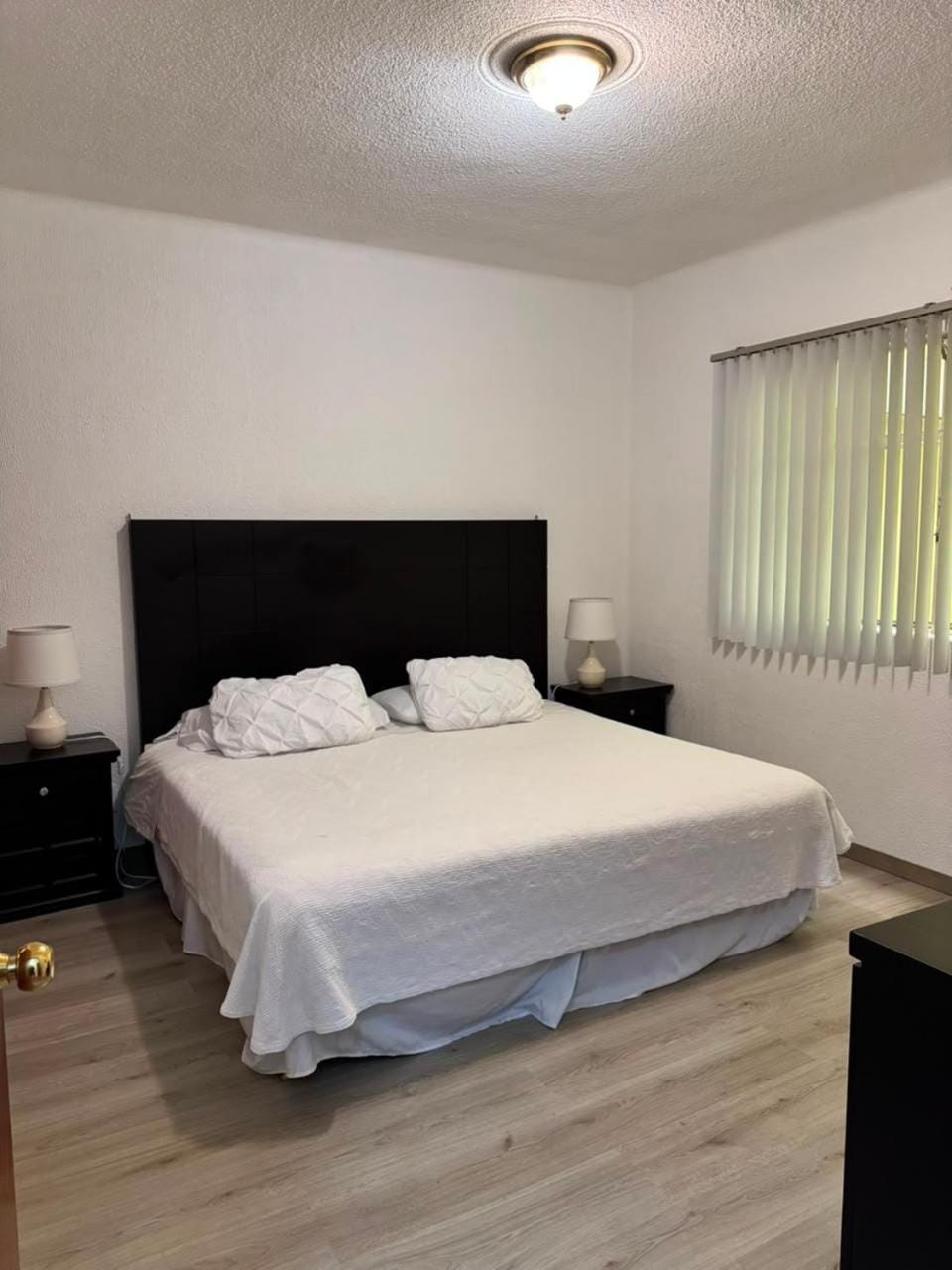 Steinhaus Suites Emilio Castelar Apartment in Mexico City