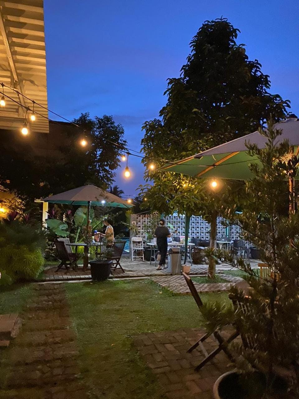 Garden view