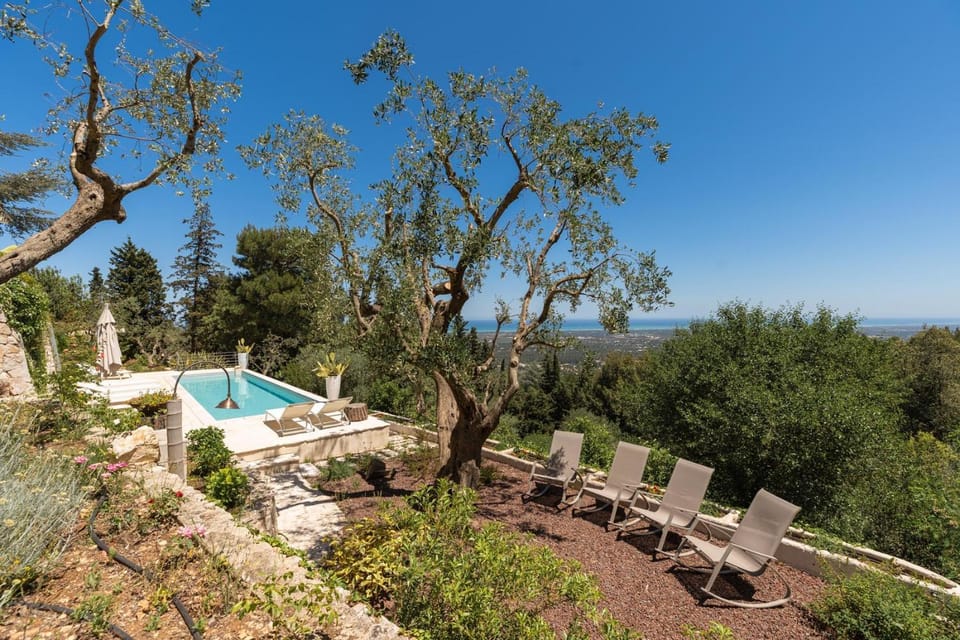Natural landscape, Garden, Swimming pool