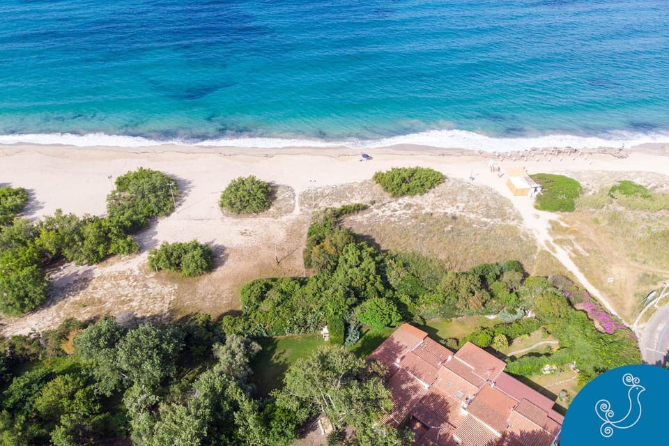 Bird's eye view, Beach, Sea view