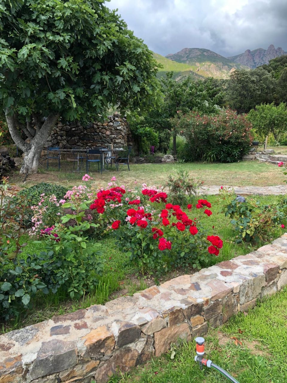 Natural landscape, Garden