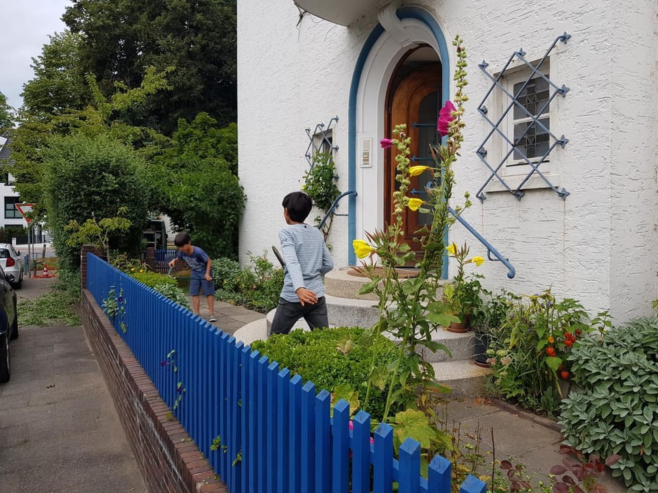 Garden view