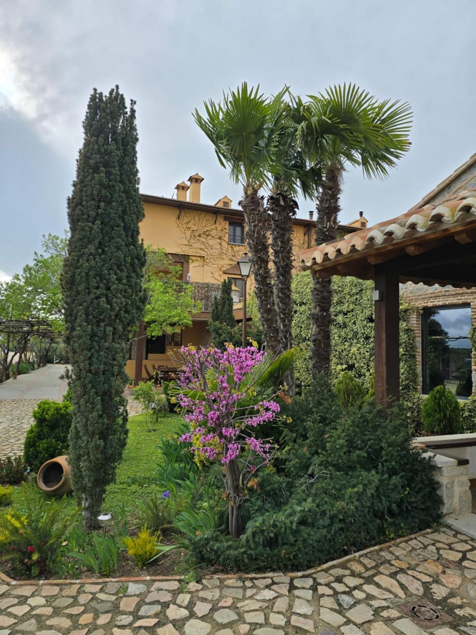 Garden view