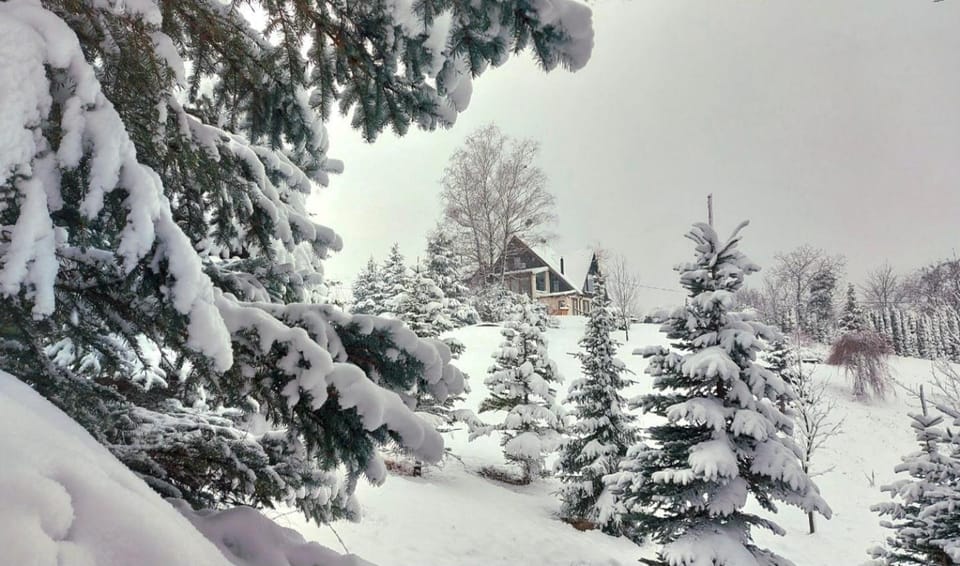 Day, Natural landscape, Winter