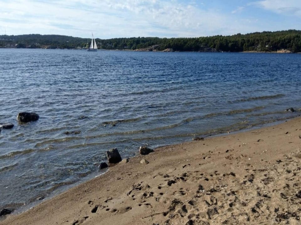 Lake view