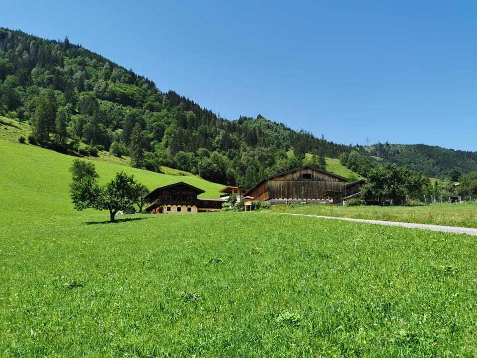 Neighbourhood, Natural landscape, Garden