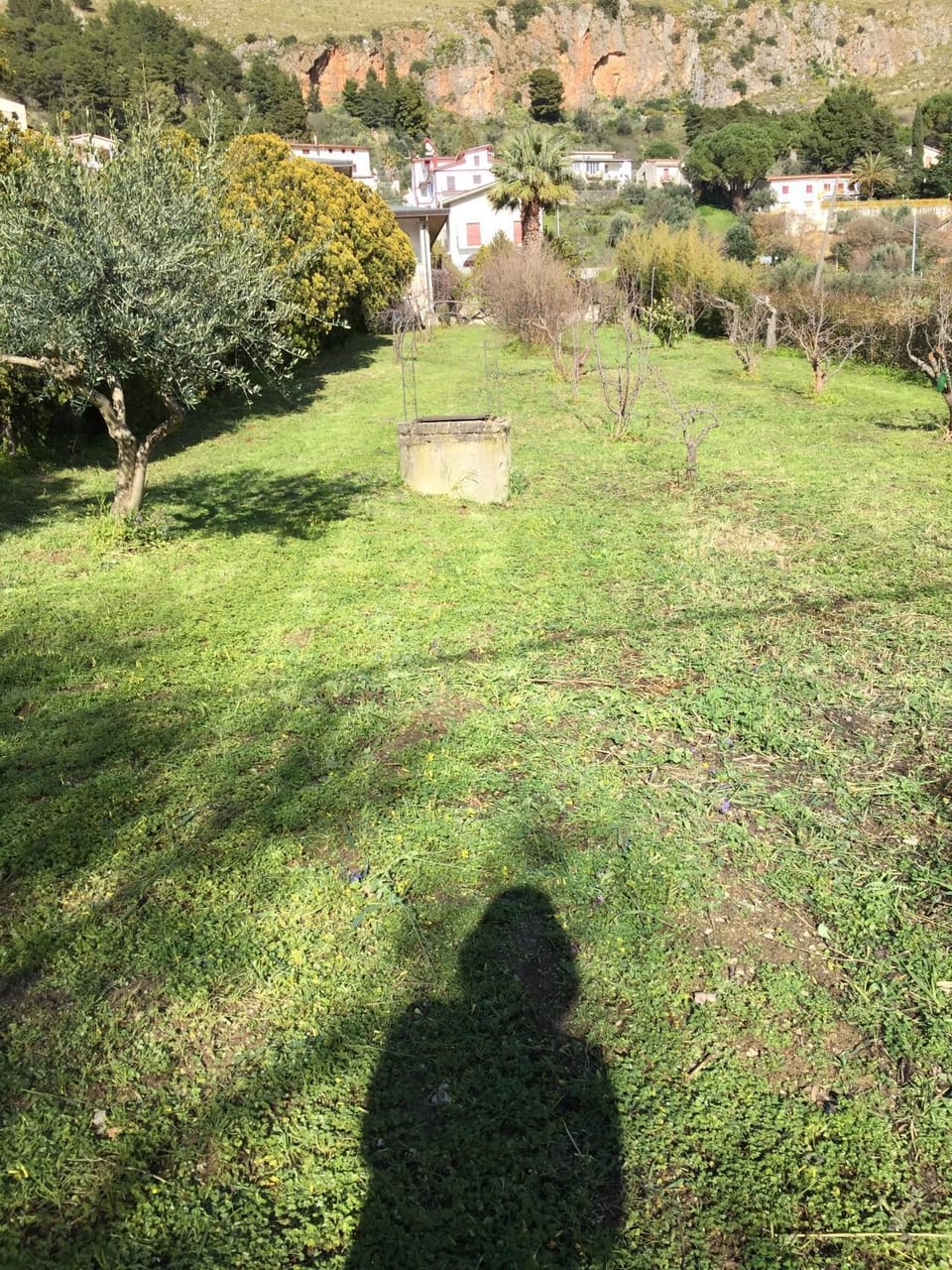 Property building, Garden, Garden, Hiking, Garden view