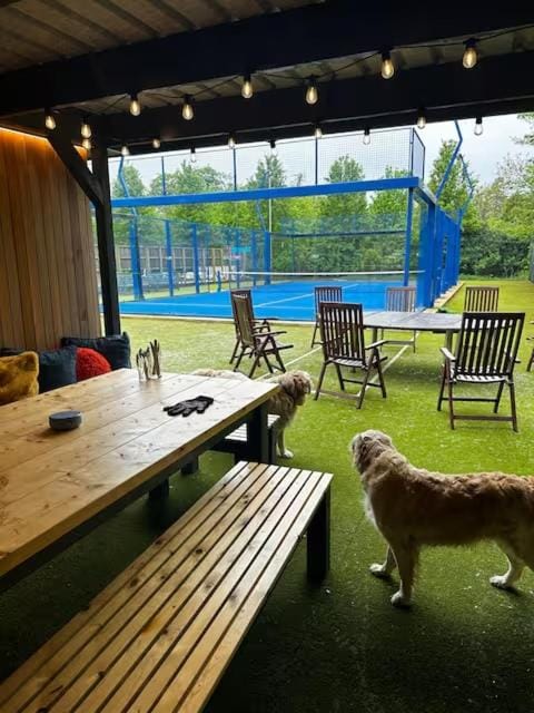 Forest Lodge with Hot Tub & Padel Tennis Court House in Northern Ireland