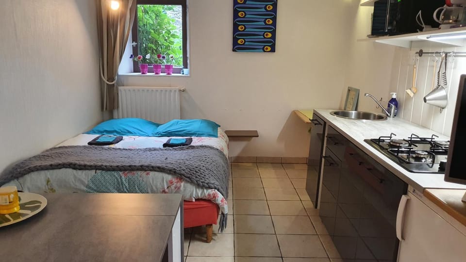 Bed, Kitchen or kitchenette, Photo of the whole room, stove